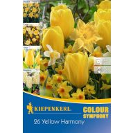  Colour Symphony Mega Pack Yellow Harmony 26 žarnic Kiepenkerl