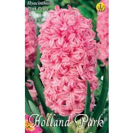   Cvetlična čebulica Hyacinth Pink Pearl 3 kosi Vrtno seme iz Rédei