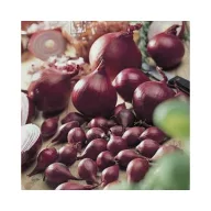 Čebula rdeča rdeča 14-19 mm 250 g VM