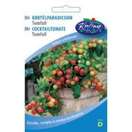 Paradižnikov koktajl Tomfall 0,3 g Serija Urban gardener