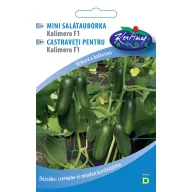   Kumara mini prigrizek Kalimero F1 10 semen Serija Urban gardener