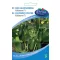 Kumara mini prigrizek Kalimero F1 10 semen Serija Urban gardener
