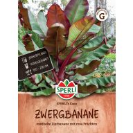 Pritlikava banana Coco 4 zrna Sperli