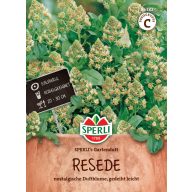 Rezeda Garden Scent 100 zrn Sperli