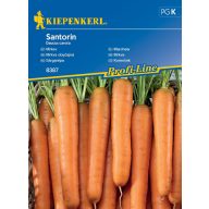 Korenje Santorin F1 3-4 fm Kiepenkerl