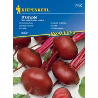 Beetroot D'Egypte 100 zrn Kiepenkerl