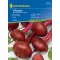 Beetroot D'Egypte 100 zrn Kiepenkerl
