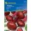 Beetroot D'Egypte 100 zrn Kiepenkerl