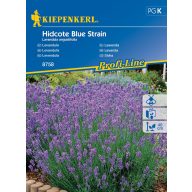 Lavender Hidcote Blue Strain 40 semen