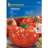 Gigantski paradižnik Gigantomo Kiepenkerl 8 kosov