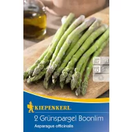   Zeleni šparglji (koreninica) Boonlim trajnica Kiepenkerl 2 kosa