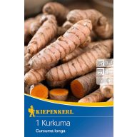 Kurkuma (korenina) Kiepenkerl 1 kos