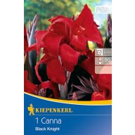   Žarnica Canna Black Knight (rdeča), ki je bila izdelana v letu 2016, 1 kos