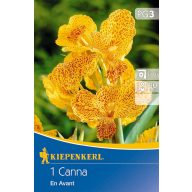 Žarnica Canna En Avant (rumena) za otroke 1 kos