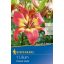 Cvetna čebulica Lily Forever Linda (koralno rumena) Kiepenkerl 1 kos
