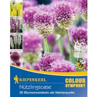   Cvetlične čebulice Koristne žuželke vrt Kiepenkerl 26 kosov
