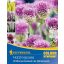 Cvetlične čebulice Koristne žuželke vrt Kiepenkerl 26 kosov