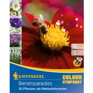   Cvetlične čebulice Mešanica za hranjenje čebel Kiepenkerl 20 kosov