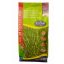 Travno seme mešanica Margitsziget (Master Grass Seed Mixture) 10 kg