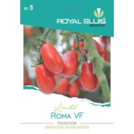 Paradižnik Roma VF 0,25g Royal Sluis