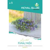 Mešanica enoletnega cvetja Royal Blue 0,75g Royal Sluis
