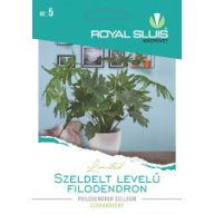 Flodendron 16 semen Royal Sluis