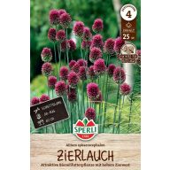 Čebula čebula 25 kosov Sperli