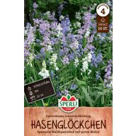 Čebulice Španski zvončki mešanica barv 10 kosov Sperli