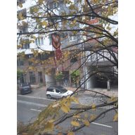 Odganjalec ptic na obrazu SCARYFACE