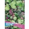 Azijska solata organska Oriental Mix Rein Saat pribl. 4-5 m2