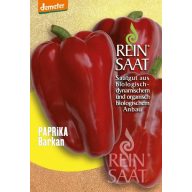 Paprika organska Barkan Rein Saat približno 35 semen