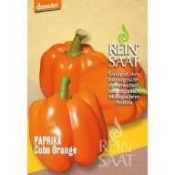   Paprika organska Cubo Orange Čista semena približno 30 semen