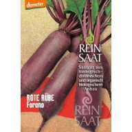 Rdeča pesa organska Forono Rein Saat približno 250 semen