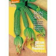   Ekološke bučke Costates Romanesco Pure Seed približno 10 semen