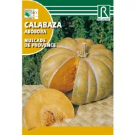 Buča Muscade de Provence Rocalba 5g