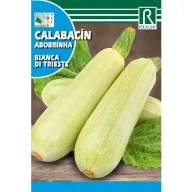 Bučke Bianca di Trieste Rocalba 8 g