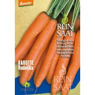 Korenček bio Rodelika Rein Saat pribl. 50 semen