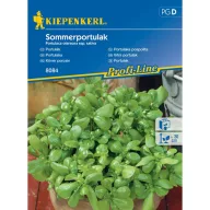 Portulaka Kiepenkerl približno 150 semen