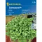 Portulaka Kiepenkerl približno 150 semen