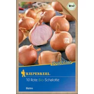 Bio čebulice šalotke Biztro (lila) Kiepenkerl 10 kosov