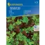 solza solata Babyleaf Mix (Oaking, Diablotin, Greenet, Cavendish) Kiepenkerl 3 m