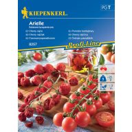 Paradižnik Cherry Arielle F1 Kiepenkerl približno 6 semen