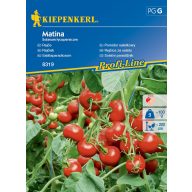 Solatni paradižnik Matina Kiepenkerl približno 35 semen