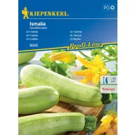 Bučka Ismalia F1 Kiepenkerl Približno 6 semen