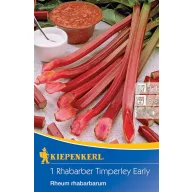 Rabarbara Timperley Early Kiepenkerl 1 rastlina