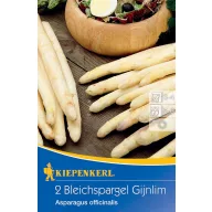 Beli šparglji Gijnlim Kiepenkerl 2 rastlini