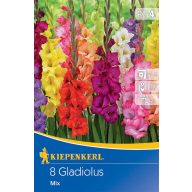   Cvetlična čebulica Swordflower Mešanica cvetličnih čebulic 8 kosov