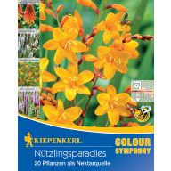   Cvetlične čebulice Koristne žuželke vrt Kiepenkerl 20 kosov