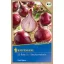 Dughagyma Organic Lilahagyma Red Baron Kiepenkerl 50 kosov