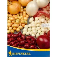 Dughagyma Trio (rdeča+vijolična+bela) Kiepenkerl 50 kosov